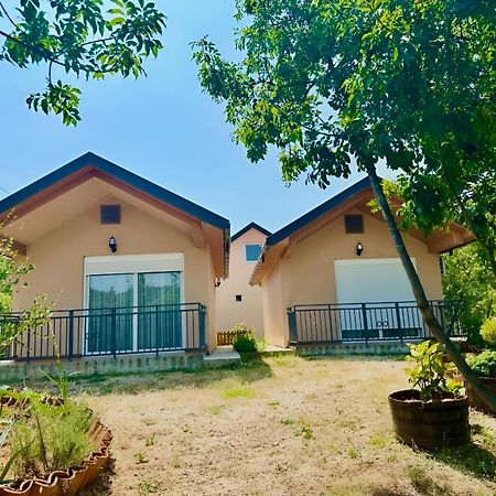 S&M Apartments Rijeka Crnojevica Ngoại thất bức ảnh
